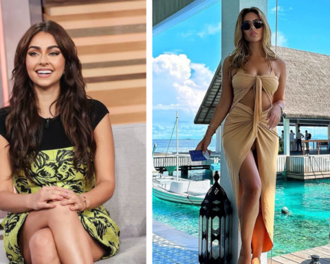 Carla Diab Net Worth